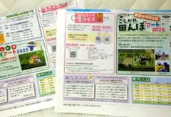 Item thumbnail for item 1f8d6f85-726e-4561-8141-634e6b6dcf62