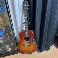 MORRIS ハミングバードDOVE WD−25 チェリーサンバースト！ MORRIS ハミングバードDOVE WD−25 チェリーサンバースト！