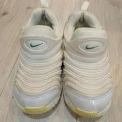 Nike ダイナモフリー 20センチ