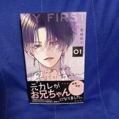 はじめてのおにいちゃん 1