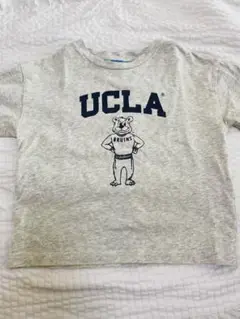 UCLA Tシャツ