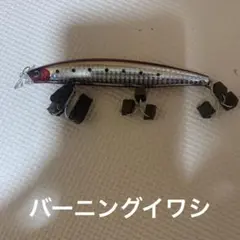 ショアラインシャイナーZ F