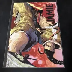 ストリートファイター プリンセスカフェ ブロマイド ジェイミー