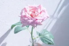 Item thumbnail for item e8cadb15-122f-43a8-837a-4cf7b326b06d