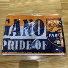 AC NAGANO PARCEIRO