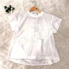 Item thumbnail for item 187aa656-c19d-44d7-a804-4b47ce580876