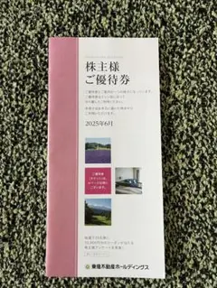 東急不動産ホールディングス 株主優待