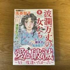 レディースコミック　波瀾万丈の女たち