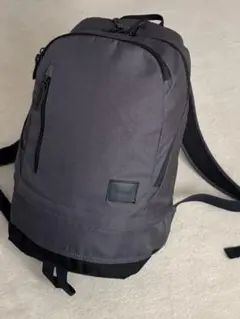 【NIXON】Ridge SE Backpack リュック C2492 グレー