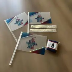 中日ドラゴンズ BLUE SUMMER FESTIVAL '25 応援グッズ