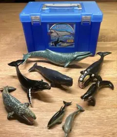 立体図鑑（海の生き物、昆虫）6セット　フィギュア