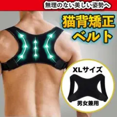 Item thumbnail for item 2bee737d-5e73-4ccd-85b5-0a8df9058806