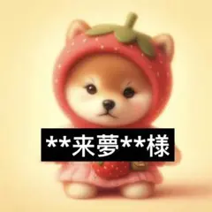専用ページ