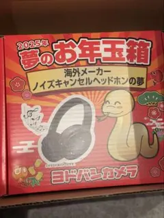 2025年最新】海外 ノイズキャンセルヘッドホンの夢の人気