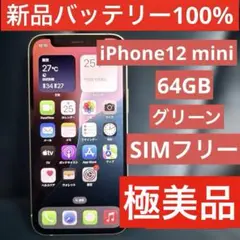 極美品✨新品バッテリー100%✨iPhone12mini 64GB SIMフリー
