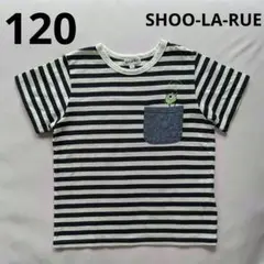 SHOO-LA-RUE Tシャツ Disney PIXAR マイク 120cm