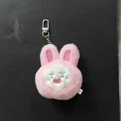 【新品未開封】SHINee オニュ うさぎ ぬいぐるみ キーリング SHINee オニュ うさぎ ぬいぐるみ キーリング - メルカリ