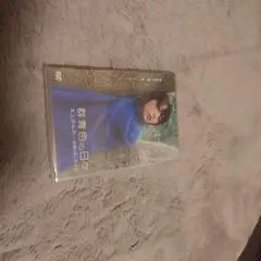 群青色の日々/本上まなみ