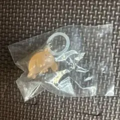 よこみぞゆり　なんでもいきもの めじるしアクセサリー　エビ