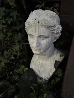 Item thumbnail for item d420cc49-ab48-4e8e-b451-d54e2c2ab391