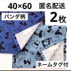 パンダ ランチョンマット 40×60 給食 ナフキン 2枚セット 男の子 女の子
