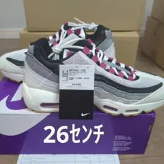 Nike SB Air Max 95 Cactus Flower 【限定品】