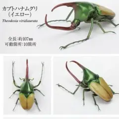 いきもの大図鑑　かぶとむし09 カブトハナムグリ　ガチャ　フィギュア