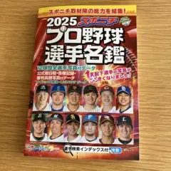 2025 プロ野球選手名鑑