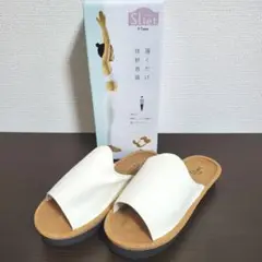 Item thumbnail for item 8f90dbae-00bc-4508-b8c1-463b38f64e32