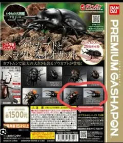 いきもの大図鑑 ヘラクレスオオカブトオキシデンタリス (ゴールドヘッドver.)