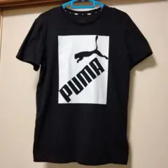 プーマTシャツ 黒 160センチ