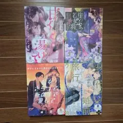 オパール文庫 ティアラ文庫 ヴァニラ文庫などロマンス ジョシロマ小説31冊セット オパール文庫 ティアラ文庫 ヴァニラ文庫などロマンス