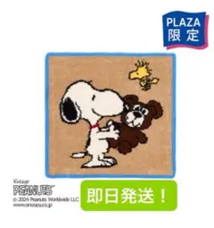 2025年最新】PLAZA スヌーピー シェニールの人気アイテム - メルカリ