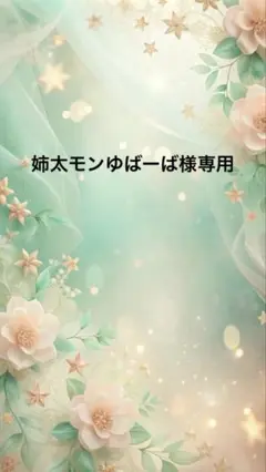 【気まぐれSALE！】ブックカバーハンドメイド 文庫本 ダブルパネル