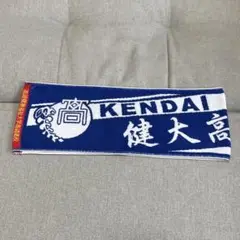 【新品未使用】健大高崎高校 野球 応援マフラータオル