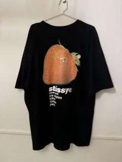 大人気　stussy Tシャツ
