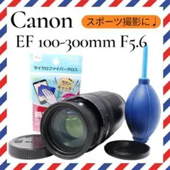 Item thumbnail for item 48162134-031b-4f25-a45e-21b8fa79c24a