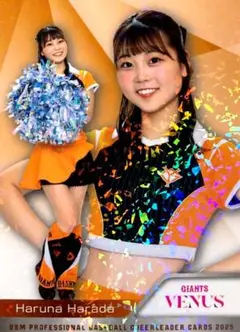 Item thumbnail for item bd63e662-cda8-4091-8bca-17bf75e40d4f