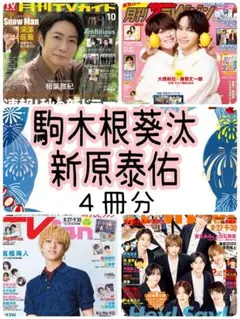 新原泰佑 駒木根葵汰 月刊TVガイド ザテレビジョン fan navi④