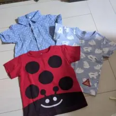 水玉シャツとクマ柄Tシャツセット