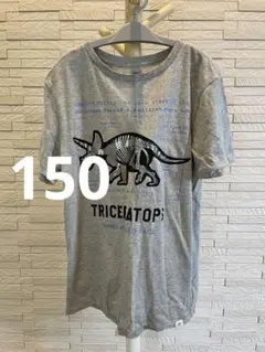 GAP KIDS キッズ Tシャツ 恐竜プリント 150