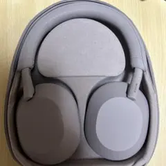 Item thumbnail for item 9fc618f2-32d6-481e-8463-c49127dc5db8