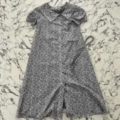 Item thumbnail for item 2db22a2a-2109-44a9-84dd-0d680056916f