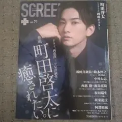 SCREEN+plus（スクリーンプラス） vol.71