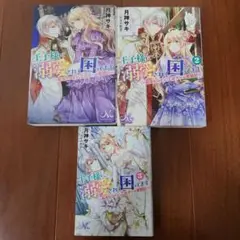 王子様に溺愛されて困ってます 全3巻セット