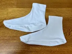 Item thumbnail for item bbf9566e-c38a-47b7-83bc-dab09f83284f