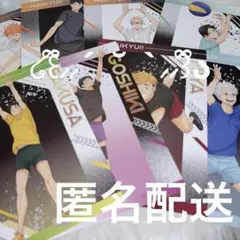 ハイキュー‼︎ アニメイト特典 ポストカード 擬似ユース 全8種