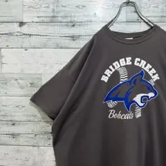 【最高デザイン】ビッグロゴ ヴィンテージ ゆるだぼ USA輸入 半袖 Tシャツ