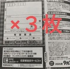 えなこ PPE 限定クオカード３種応募者全員用紙３枚 ヤングチャンピオン