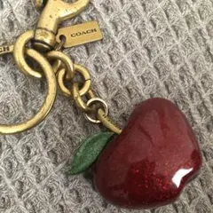 ˚✧美品✧༚ 【coach】リンゴ柄キーケース　日本限定 コーチ 6連キーケース リンゴ柄 アップル ホワイト - メルカリ